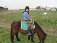 Bienvenue au Poney Club du Phare